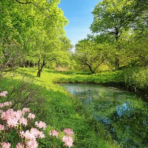 Park in the Spring Mural - 384x260cm - 5408-8