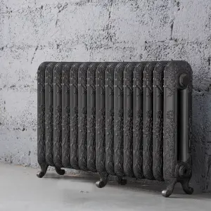 Arroll Daisy Cast iron Pewter 15 Column Radiator, (W)1009mm x (H)597mm