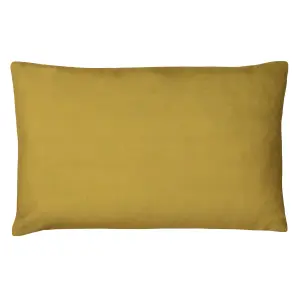 Paoletti Willow Botanical Polyester Filled Cushion