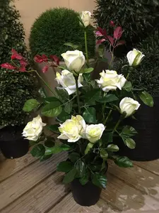 Best Artificial 2ft - 65cm White Decorative Rose Plant for house home garden or office