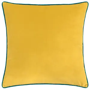 Paoletti Meridian Velvet Piped Feather Filled Cushion