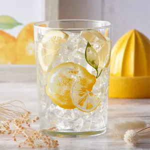 Set of 4 Amalfi Tumblers 52cl Clear