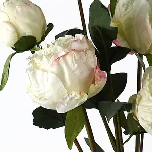 6 x 55cm Cream Peony Artificial Flower