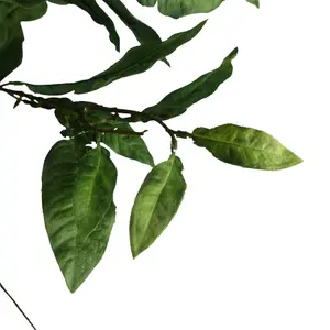 Pack of 6 x 90cm Artificial Ficus Foliage Stem