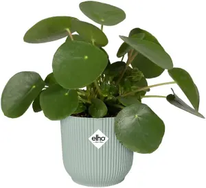 Elho Vibes Fold 14cm Round Sorbet Green Recycled Plastic Plant Pot