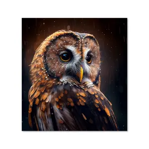 Tawny Owl Face Splashart Dark Background Premium Glass Kitchen Splashback W600mm x H650mm