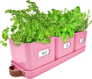 Pink Herb Pots for Kitchen Windowsill 3-Pack Indoor Planters with Leather Tray & Labels, Ideal for Fresh Herbs & Small Plants