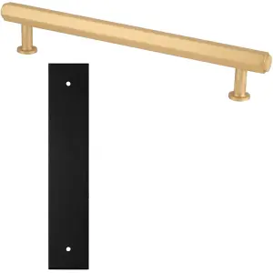 Pull Handle & Contrasting Backplate Set - Industrial Hex T Bar - Satin Brass & Black