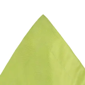 Large Bean Bag Lime Green FUZZY