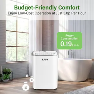 12L/24H Low Energy Compressor Dehumidifiers for Home - Quiet Operation - Automatic Humidity Sensor & Digital Display