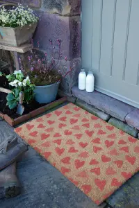 Hearts Large Doormat (90 x 60cm)