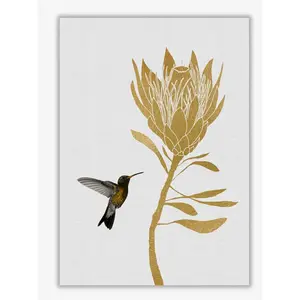 Hummingbird & Flower I - Print No Frame / 60 cm H x 42 cm W x 5 cm D