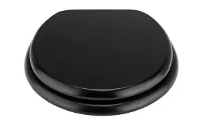 Universal Black Toilet Seat with Fittings