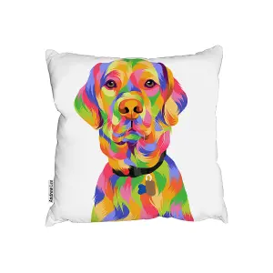 Amazing Illustration Pop Art (Cushion) / 45cm x 45cm