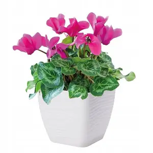 Plant Pot Flowerpot Square Plastic Modern Decorative Small Medium Large  White 19cm