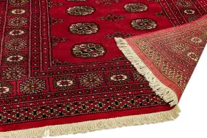 Red Traditional Bordered Floral Handmade Wool Rug for Living Room and Bedroom-270cm X 360cm