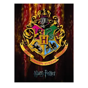 Harry Potter Hogwarts Crest Framed Canvas Print Multicoloured (40cm x 30cm)