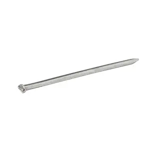 Diall Oval nail (L)100mm, Pack