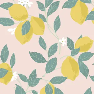 Envy Feeling Fruity Blush Lemon Smooth Wallpaper