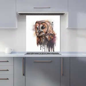 Tawny Owl Face Splashart Light Background Premium Glass Kitchen Splashback W900mm x H650mm