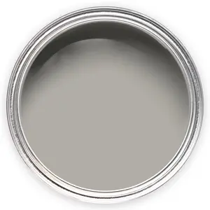 Annie Sloan Wall Paint 120ml Paris Grey