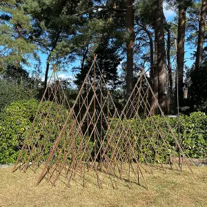 Set of Three Expanding Willow Garden Obelisks (1.5m)