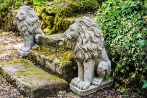 Pair of Sitting Lions stone garden statue