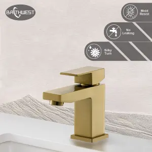 Bathroom Sink Taps, Basin Taps with Waste, Basin Tap Monobloc Brass Bathroom Sink Tap with Sink Plug 492MGO (Gold)