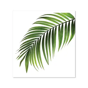 Single Palm Leaf Premium Glass Kitchen Splashback W700mm x H750mm