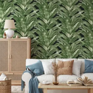 Tropical Green & Black Jungle Palm Wallpaper TR5200