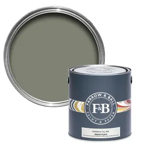 Farrow & Ball Dead Flat Mixed Colour 292 Treron 750ml