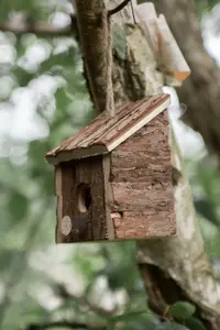 Wild Garden Bird Wooden Nesting Box