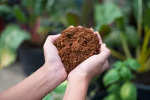 4 x Coco Peat Brick Coir Compost Block 10L Coconut Potting Fibre Compressed Soil