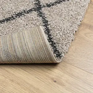 Shaggy Rug PAMPLONA High Pile Modern Beige and Anthracite 160x230 cm