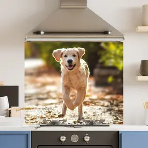 Premium 90cm x 75cm 6mm  Glass Running Dog Kitchen Splashback Various Sizes Toughened - 90 cm