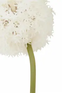 Fiori 72cm Allium Stem Ivory Flower Artificial Plant Foliage