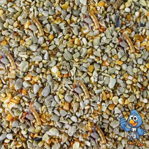 2.5kg BusyBeaks Robin & Songbird Food - High Energy Wild Bird Seed For Garden Birds