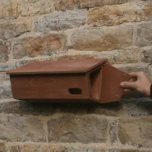 Swift Nest Box - Plywood - L21 x W43 x H21 cm