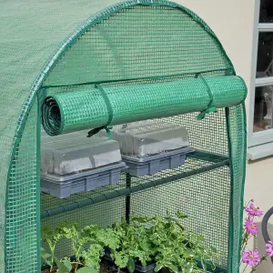 Portable 4 Tier Curved Greenhouse - Compact Plant House with 4 Shelves & Weatherproof PE Cover