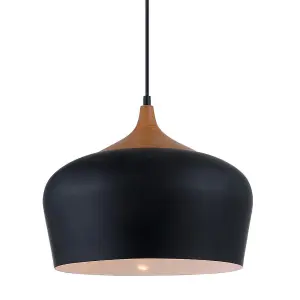 Luminosa Modern Hanging Pendant Black 1 Light , E27