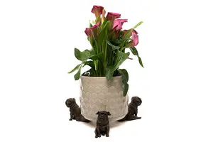 Sitting British Bulldog Plant Pot Feet - Set of 3 - L11 x W5 x H8.5 cm