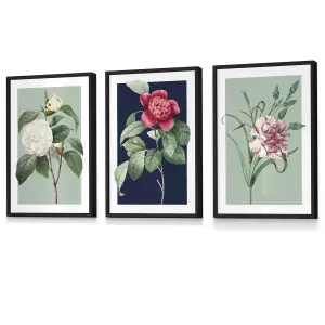 Set of 3 Framed Vintage Flowers Camellia Blue and Green / 30x42cm (A3) / Black