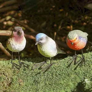 Set of 3 Small Bird Figurines for the Garden - Colourful Wildlife Garden Decorative Ornaments