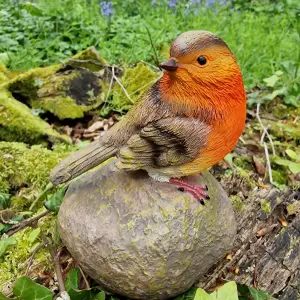 Robin on a Stone & Stump Resin Garden Ornaments (Set of 2)