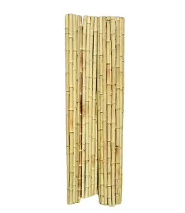 Roll Screen for Garden Fencing - Bamboo - L200 x W3 x H200 cm  - Moso