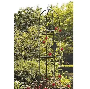 Garden Obelisk Metal Outdoor Trellis Climbing Arch - Dark Green