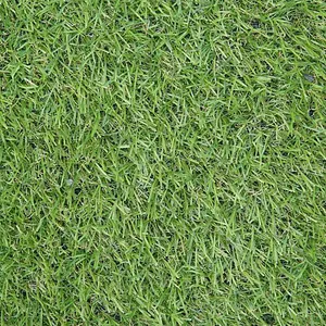 Adelaide 20mm Outdoor Artificial Grass, Pet-Friendly Synthetic Fake Grass For Patio Garden Lawn-13m(42'7") X 2m(6'6")-26m²