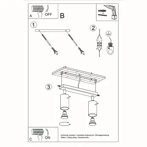 Ring Steel Grey 2 Light Classic Ceiling Light