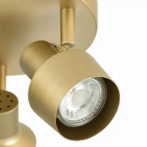 Anise Modern Satin gold effect 3 Light Spotlight plate