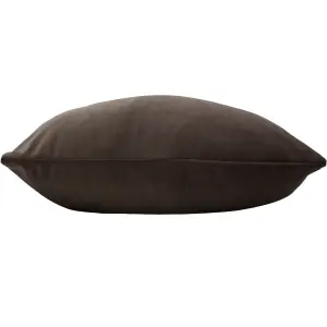 Paoletti Sunningdale Rectangular Velvet Feather Filled Cushion